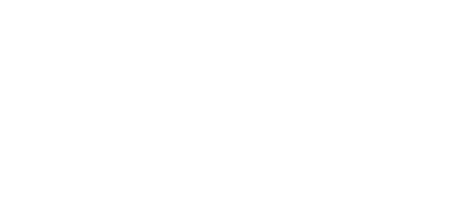 Global Jet